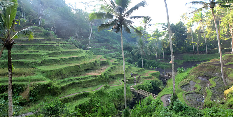 Ubud And Waterfall Tour